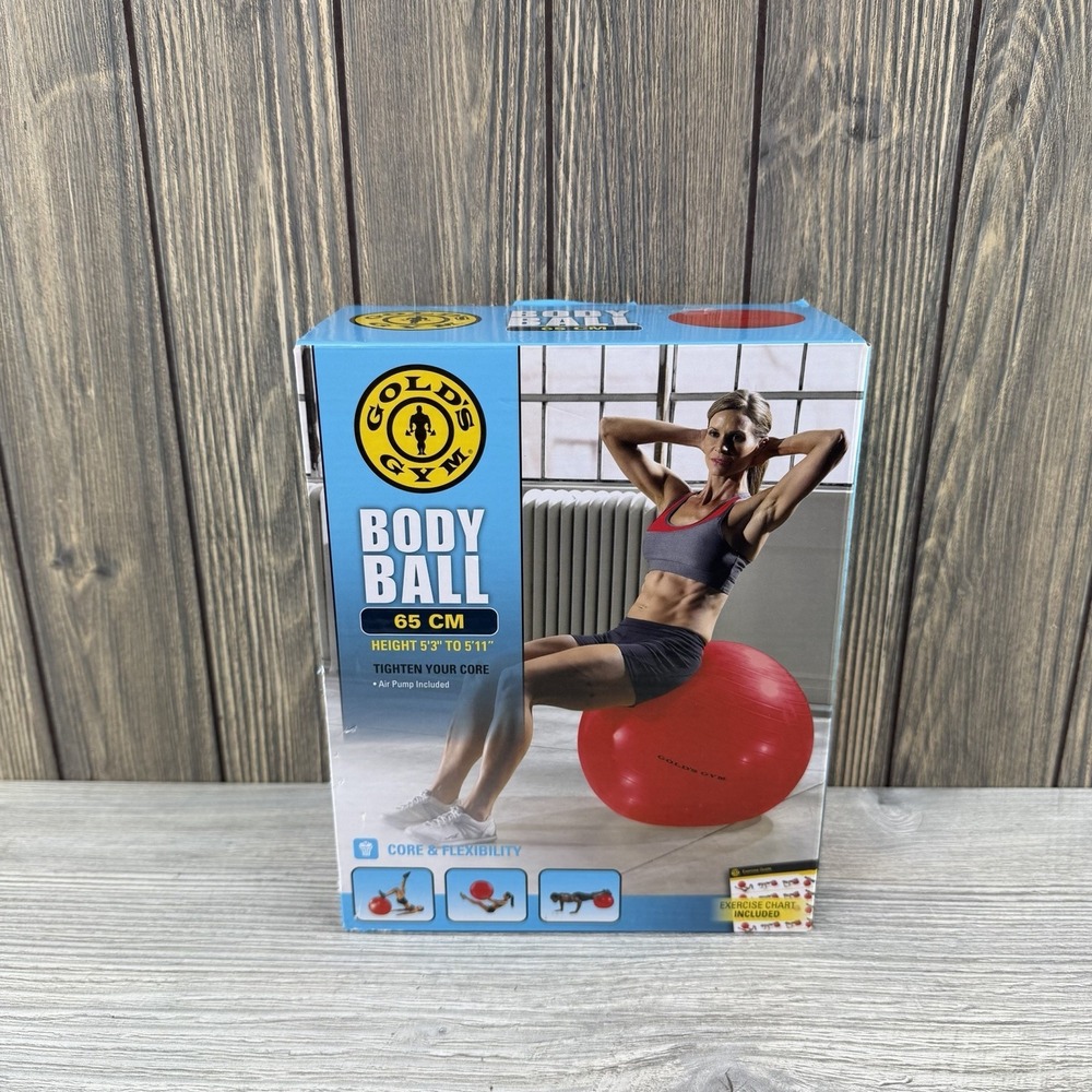 Gold's Gym Body Ball Exercise Work Out Ball 65 cm w/ Pump and Exercise Chart New